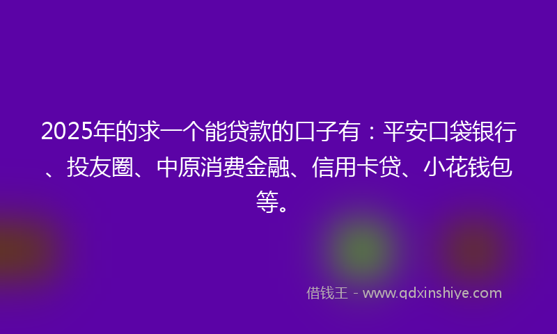 2025年的求一个能贷款的口子有：平安口袋银行、投友圈、中原消费金融、信用卡贷、小花钱包等。