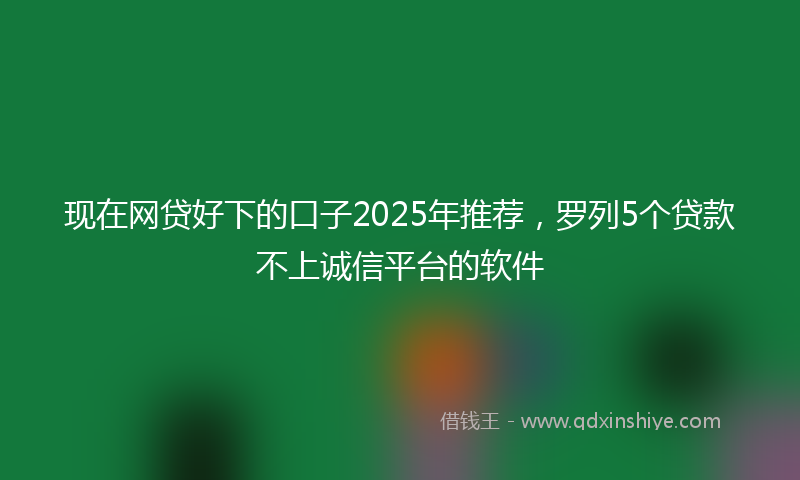 现在网贷好下的口子2025年推荐，罗列5个贷款不上诚信平台的软件