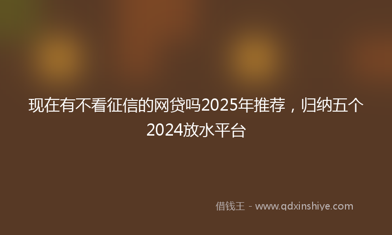 现在有不看征信的网贷吗2025年推荐，归纳五个2024放水平台