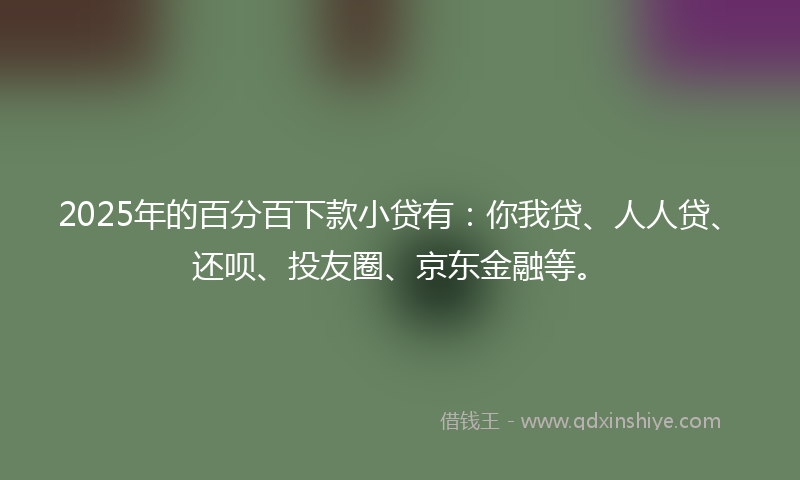 2025年的百分百下款小贷有:你我贷、人人贷、还呗、投友圈、京东金融等。