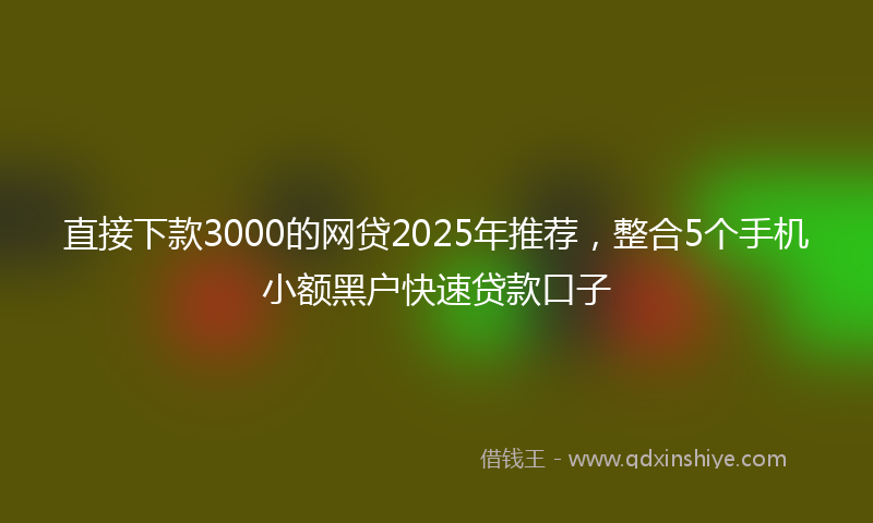 直接下款3000的网贷2025年推荐，整合5个手机小额黑户快速贷款口子