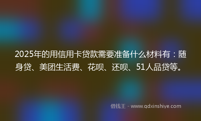 2025年的用信用卡贷款需要准备什么材料有：随身贷、美团生活费、花呗、还呗、51人品贷等。