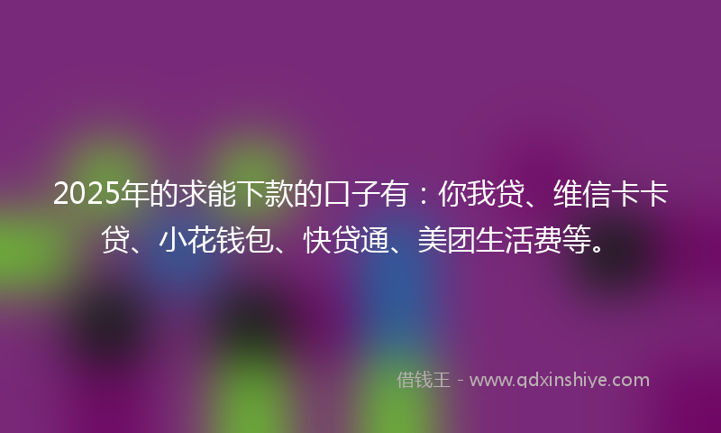 2025年的求能下款的口子有：你我贷、维信卡卡贷、小花钱包、快贷通、美团生活费等。
