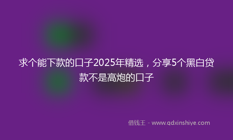 求个能下款的口子2025年精选，分享5个黑白贷款不是高炮的口子