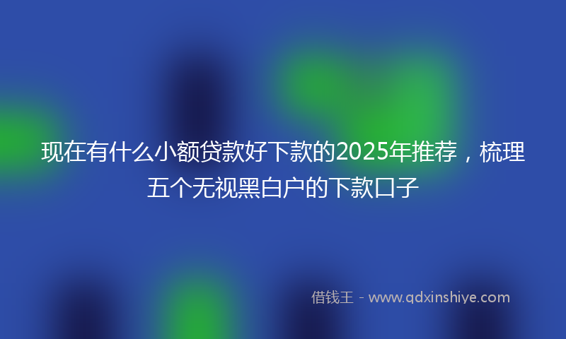 现在有什么小额贷款好下款的2025年推荐，梳理五个无视黑白户的下款口子