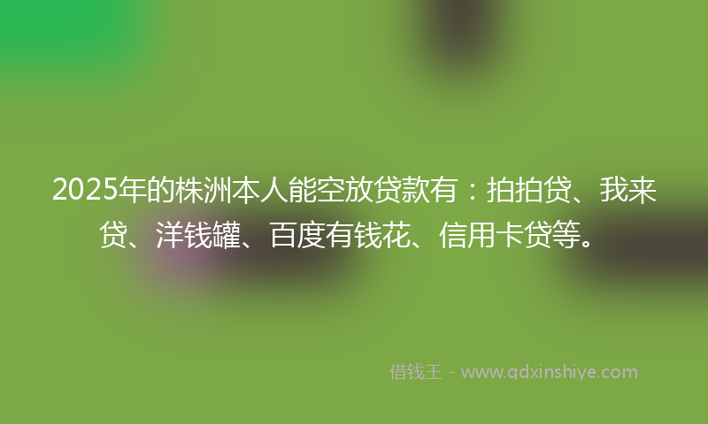 2025年的株洲本人能空放贷款有：拍拍贷、我来贷、洋钱罐、百度有钱花、信用卡贷等。