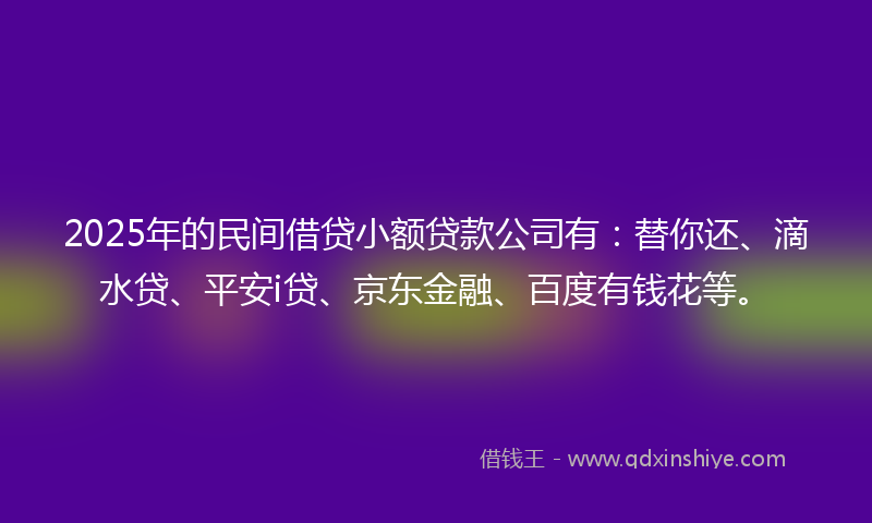 2025年的民间借贷小额贷款公司有：替你还、滴水贷、平安i贷、京东金融、百度有钱花等。