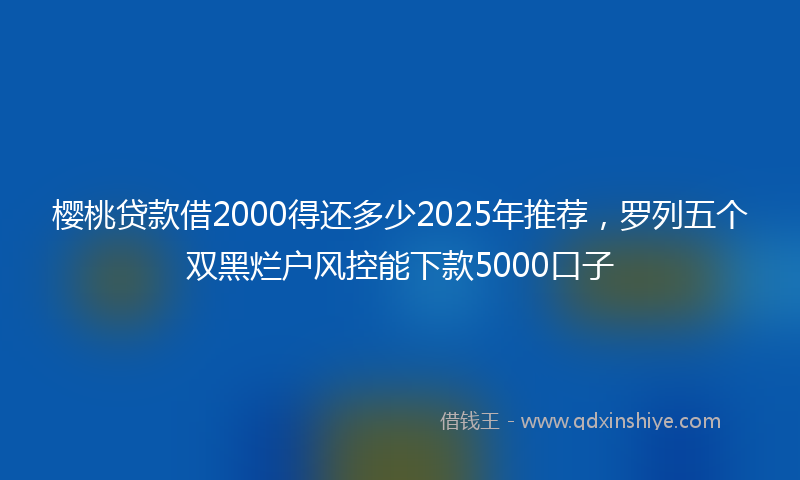 樱桃贷款借2000得还多少2025年推荐，罗列五个双黑烂户风控能下款5000口子