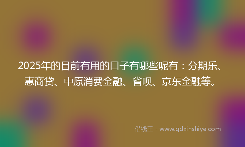2025年的目前有用的口子有哪些呢有：分期乐、惠商贷、中原消费金融、省呗、京东金融等。