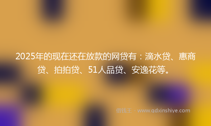 2025年的现在还在放款的网贷有：滴水贷、惠商贷、拍拍贷、51人品贷、安逸花等。