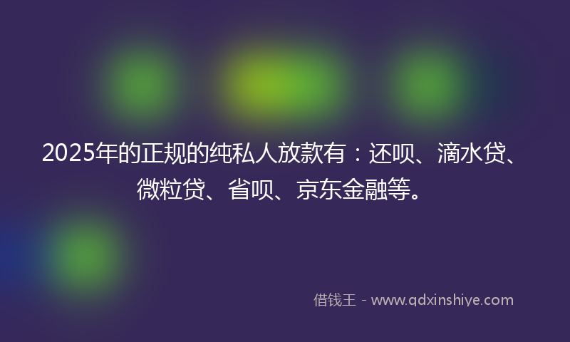 2025年的正规的纯私人放款有：还呗、滴水贷、微粒贷、省呗、京东金融等。
