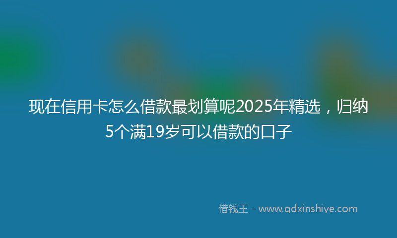 现在信用卡怎么借款最划算呢2025年精选，归纳5个满19岁可以借款的口子