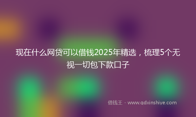 现在什么网贷可以借钱2025年精选，梳理5个无视一切包下款口子