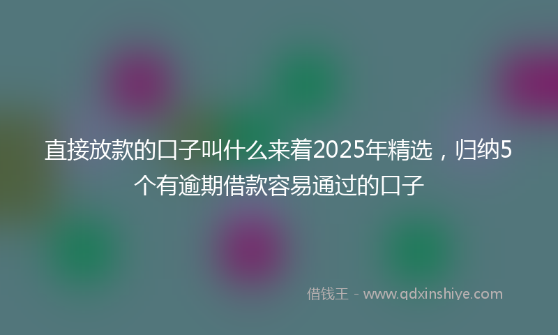 直接放款的口子叫什么来着2025年精选，归纳5个有逾期借款容易通过的口子