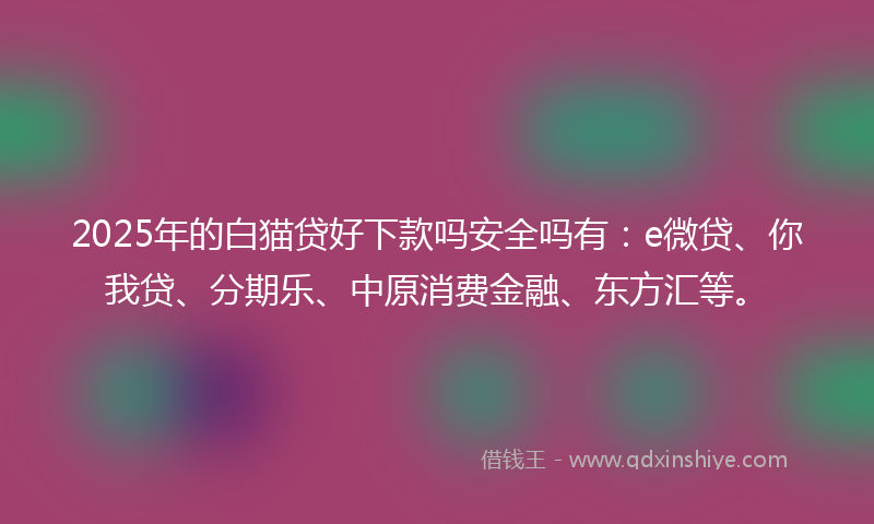 2025年的白猫贷好下款吗安全吗有：e微贷、你我贷、分期乐、中原消费金融、东方汇等。