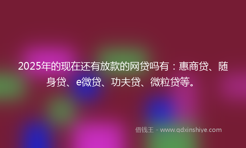 2025年的现在还有放款的网贷吗有：惠商贷、随身贷、e微贷、功夫贷、微粒贷等。