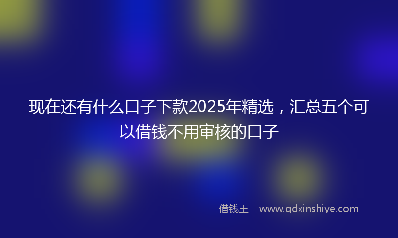 现在还有什么口子下款2025年精选，汇总五个可以借钱不用审核的口子