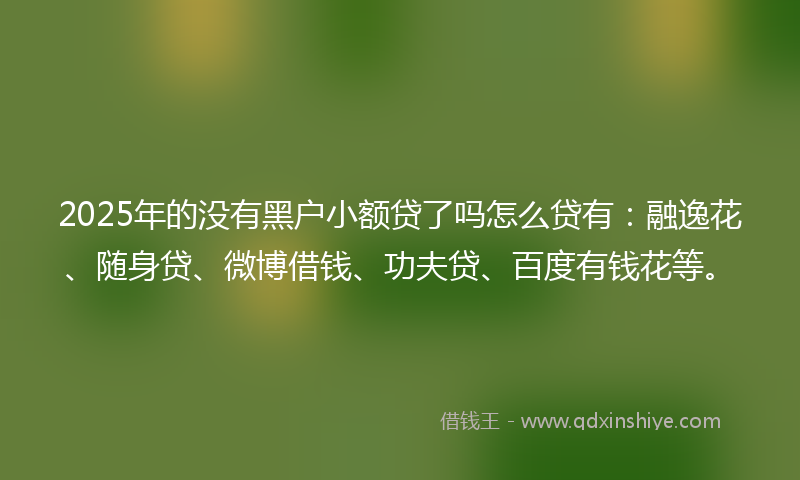 2025年的没有黑户小额贷了吗怎么贷有:融逸花、随身贷、微博借钱、功夫贷、百度有钱花等。