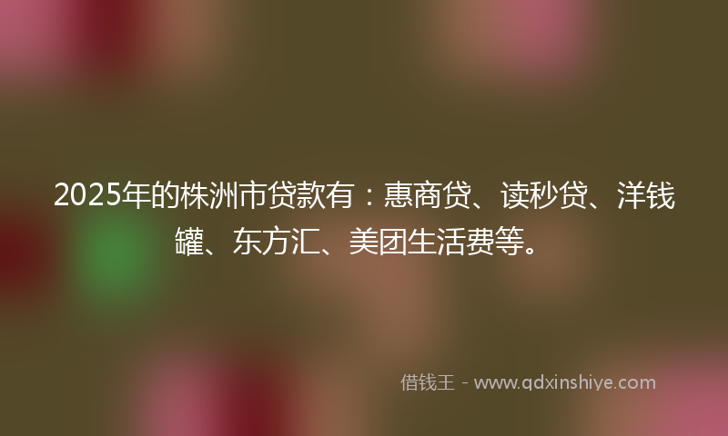 2025年的株洲市贷款有：惠商贷、读秒贷、洋钱罐、东方汇、美团生活费等。