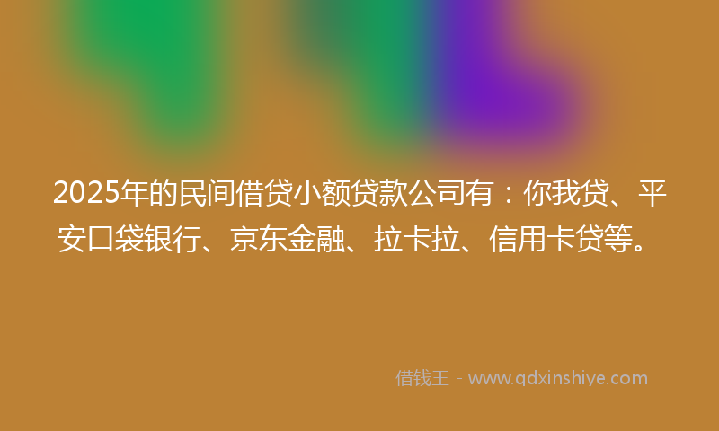 2025年的民间借贷小额贷款公司有：你我贷、平安口袋银行、京东金融、拉卡拉、信用卡贷等。