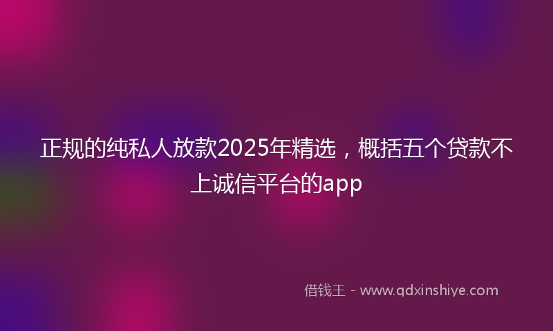 正规的纯私人放款2025年精选，概括五个贷款不上诚信平台的app