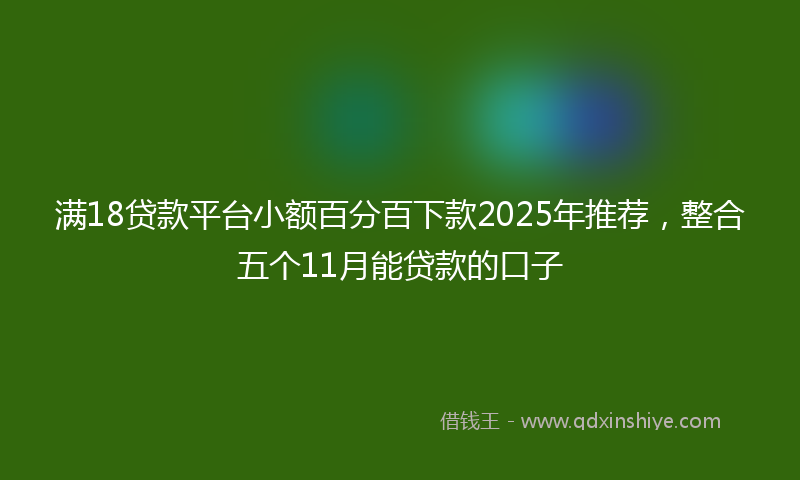 满18贷款平台小额百分百下款2025年推荐，整合五个11月能贷款的口子