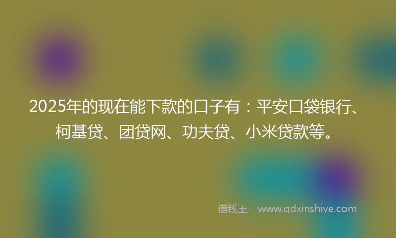 2025年的现在能下款的口子有：平安口袋银行、柯基贷、团贷网、功夫贷、小米贷款等。
