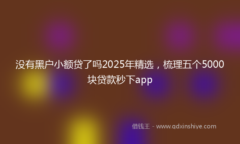 没有黑户小额贷了吗2025年精选，梳理五个5000块贷款秒下app