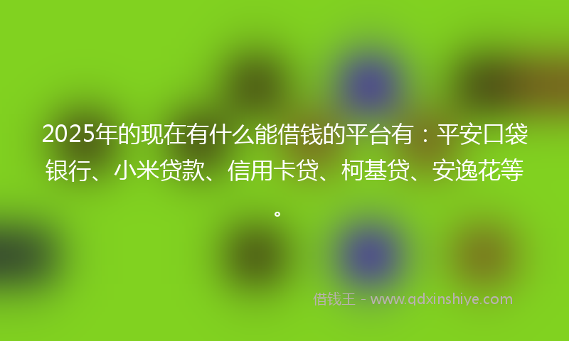 2025年的现在有什么能借钱的平台有：平安口袋银行、小米贷款、信用卡贷、柯基贷、安逸花等。