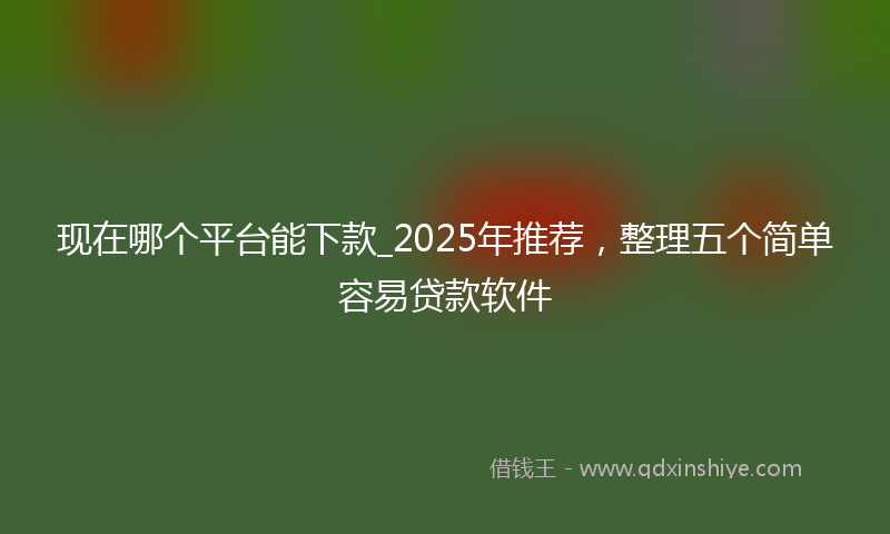 现在哪个平台能下款_2025年推荐，整理五个简单容易贷款软件