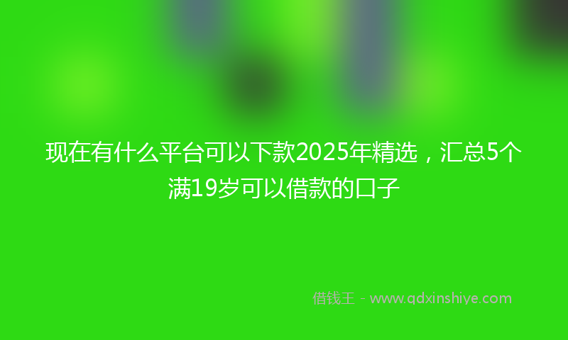 现在有什么平台可以下款2025年精选，汇总5个满19岁可以借款的口子