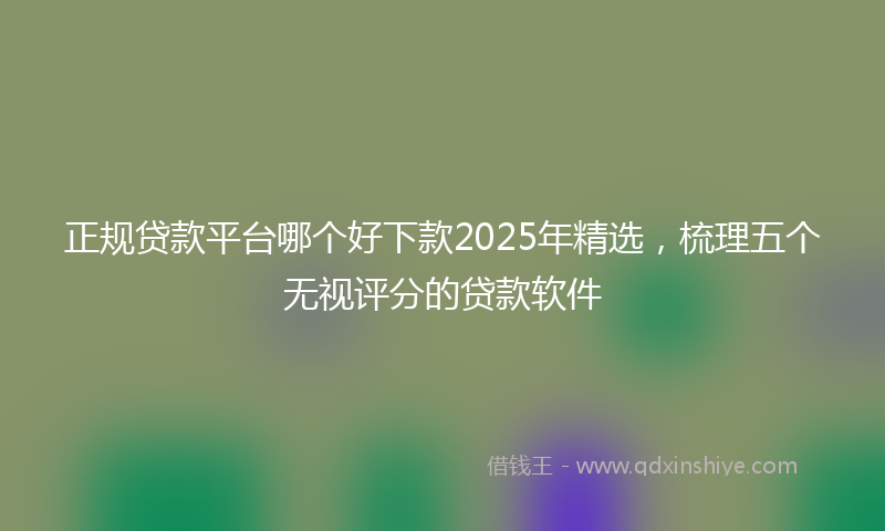 正规贷款平台哪个好下款2025年精选，梳理五个无视评分的贷款软件