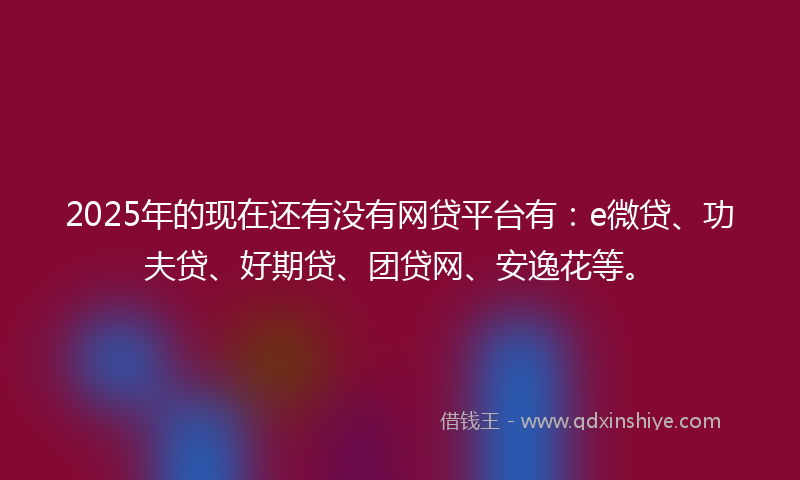 2025年的现在还有没有网贷平台有：e微贷、功夫贷、好期贷、团贷网、安逸花等。