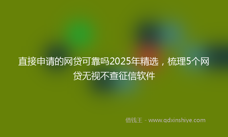 直接申请的网贷可靠吗2025年精选，梳理5个网贷无视不查征信软件