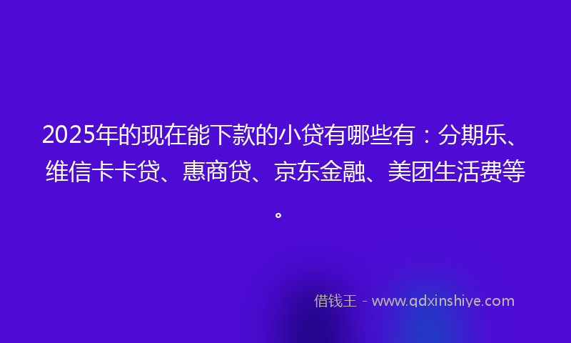 2025年的现在能下款的小贷有哪些有：分期乐、维信卡卡贷、惠商贷、京东金融、美团生活费等。