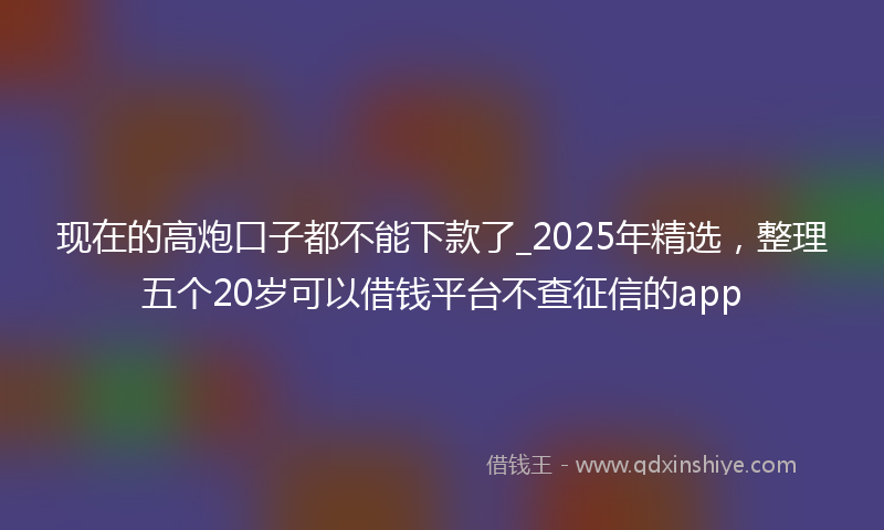 现在的高炮口子都不能下款了_2025年精选，整理五个20岁可以借钱平台不查征信的app