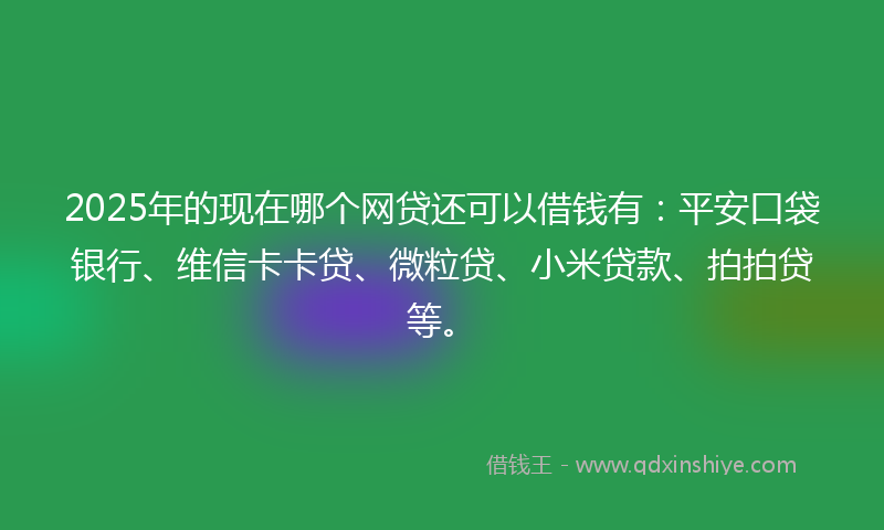 2025年的现在哪个网贷还可以借钱有：平安口袋银行、维信卡卡贷、微粒贷、小米贷款、拍拍贷等。