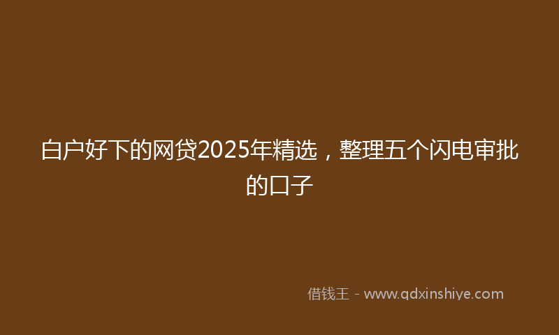 白户好下的网贷2025年精选，整理五个闪电审批的口子