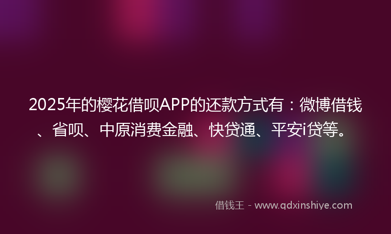 2025年的樱花借呗APP的还款方式有：微博借钱、省呗、中原消费金融、快贷通、平安i贷等。