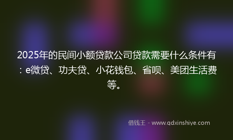 2025年的民间小额贷款公司贷款需要什么条件有：e微贷、功夫贷、小花钱包、省呗、美团生活费等。