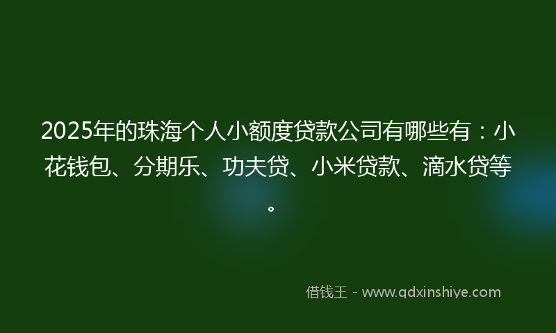 2025年的珠海个人小额度贷款公司有哪些有：小花钱包、分期乐、功夫贷、小米贷款、滴水贷等。