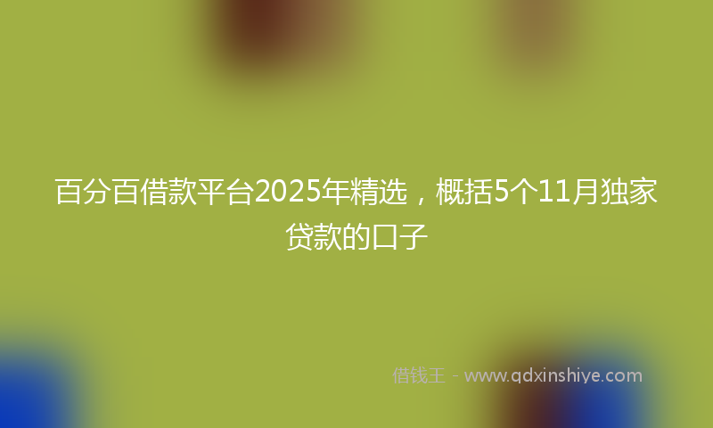 百分百借款平台2025年精选，概括5个11月独家贷款的口子