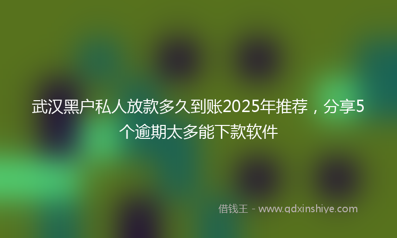 武汉黑户私人放款多久到账2025年推荐，分享5个逾期太多能下款软件