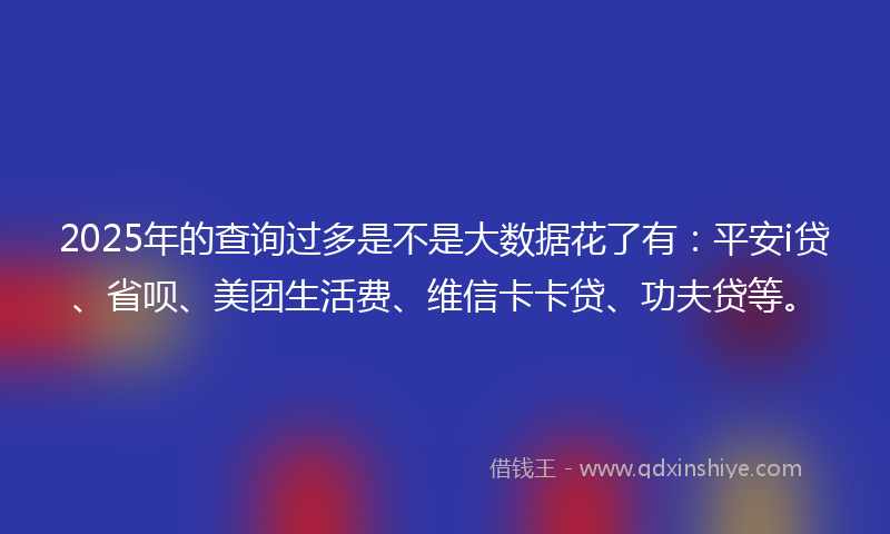 2025年的查询过多是不是大数据花了有：平安i贷、省呗、美团生活费、维信卡卡贷、功夫贷等。