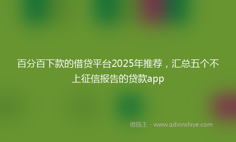 百分百下款的借贷平台2025年推荐，汇总五个不上征信报告的贷款app
