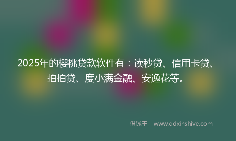 2025年的樱桃贷款软件有：读秒贷、信用卡贷、拍拍贷、度小满金融、安逸花等。