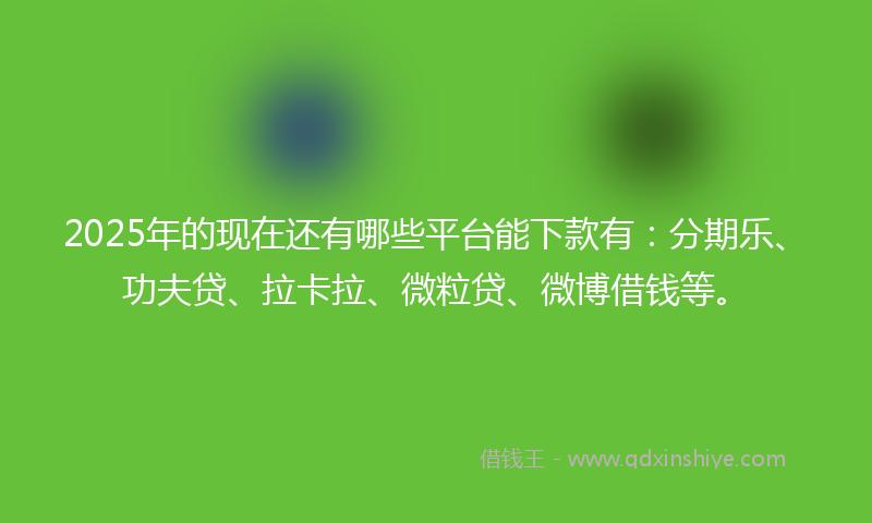 2025年的现在还有哪些平台能下款有：分期乐、功夫贷、拉卡拉、微粒贷、微博借钱等。
