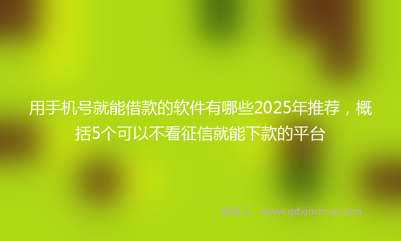 用手机号就能借款的软件有哪些2025年推荐，概括5个可以不看征信就能下款的平台