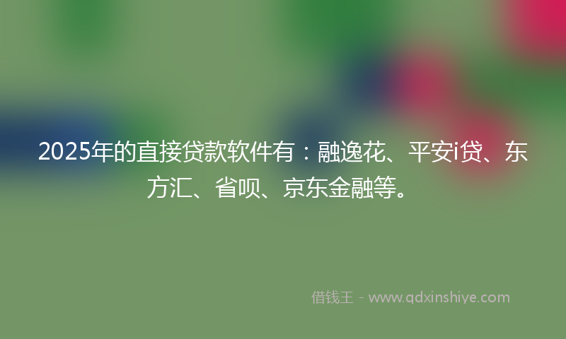 2025年的直接贷款软件有:融逸花、平安i贷、东方汇、省呗、京东金融等。