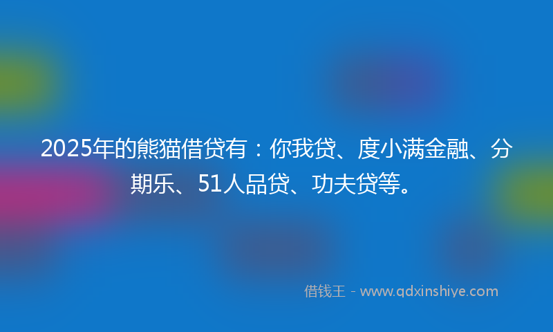 2025年的熊猫借贷有：你我贷、度小满金融、分期乐、51人品贷、功夫贷等。